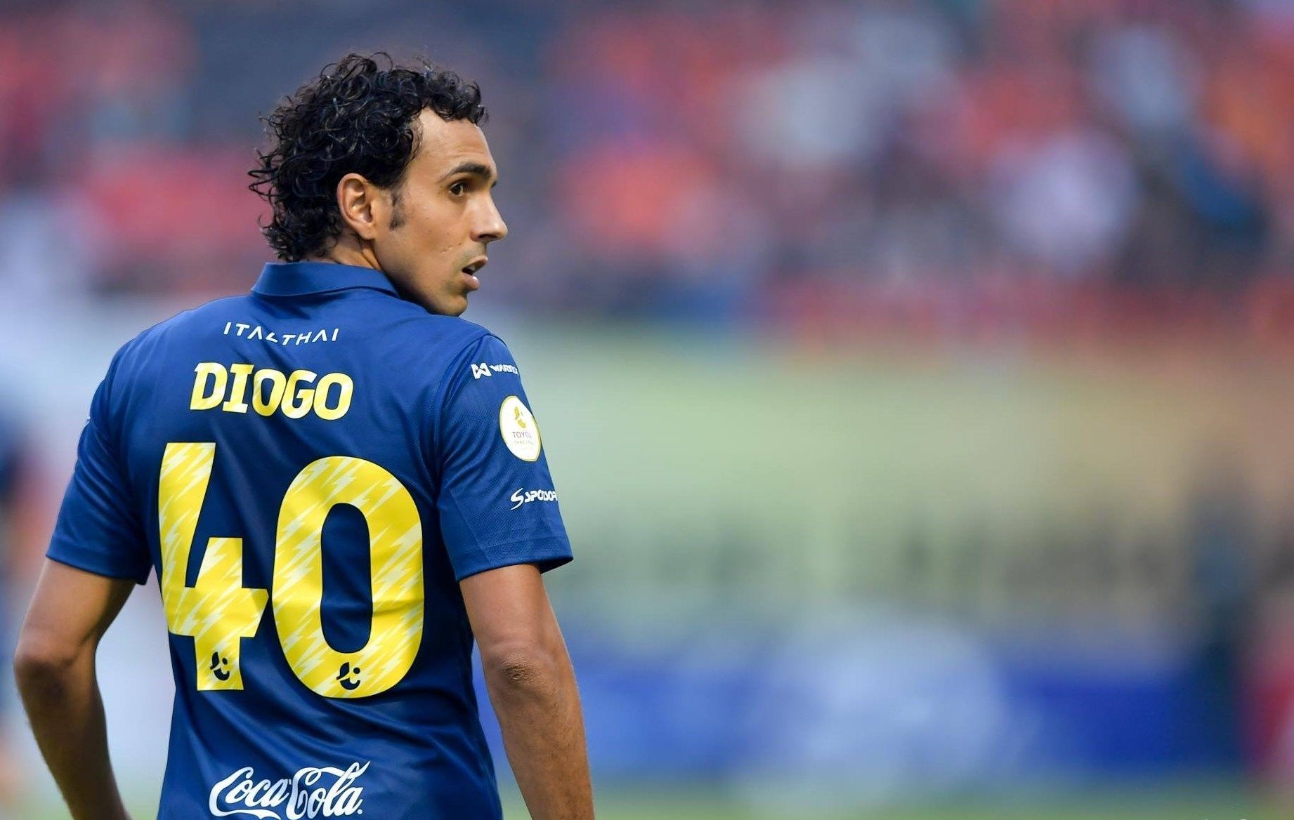 Diogo Luís Santo