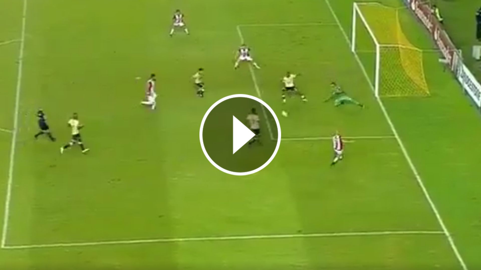 Video Play Veron