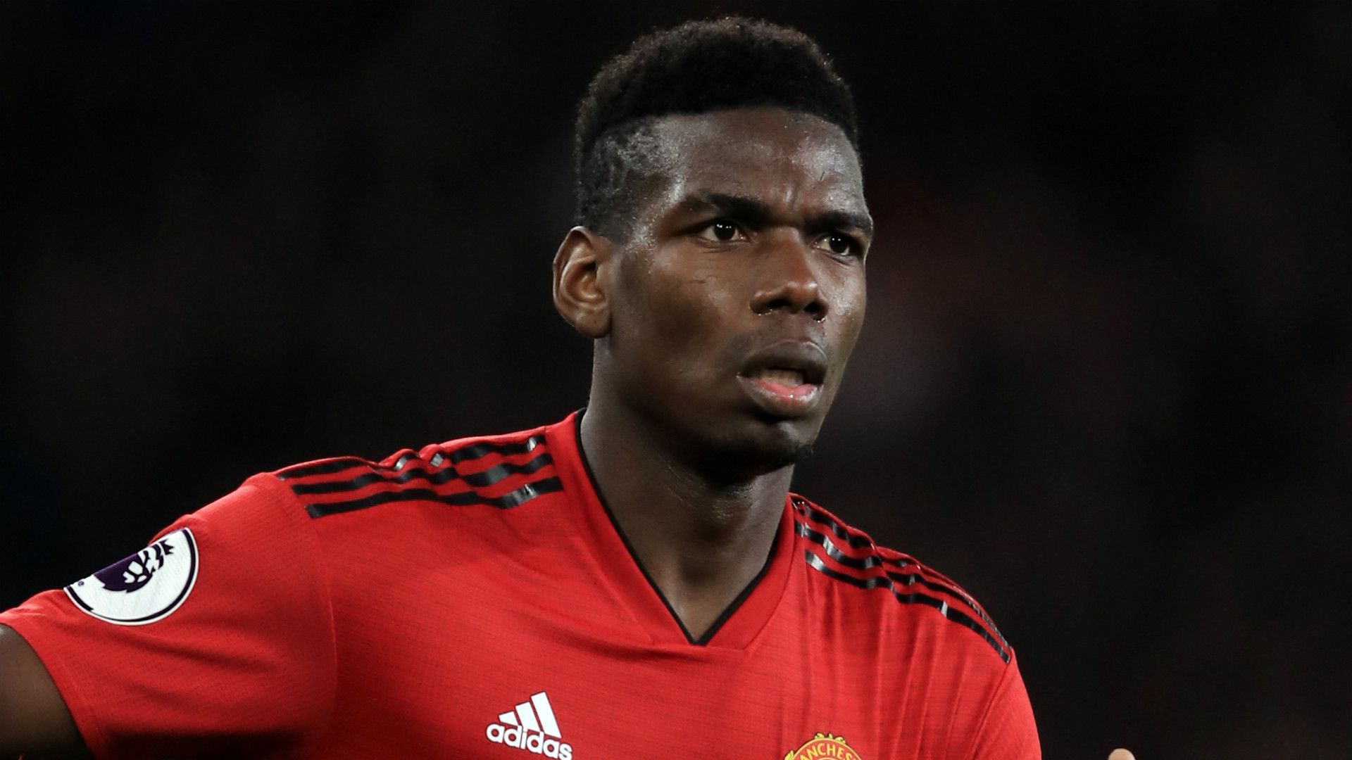Paul Pogba Manchester United 2018-19