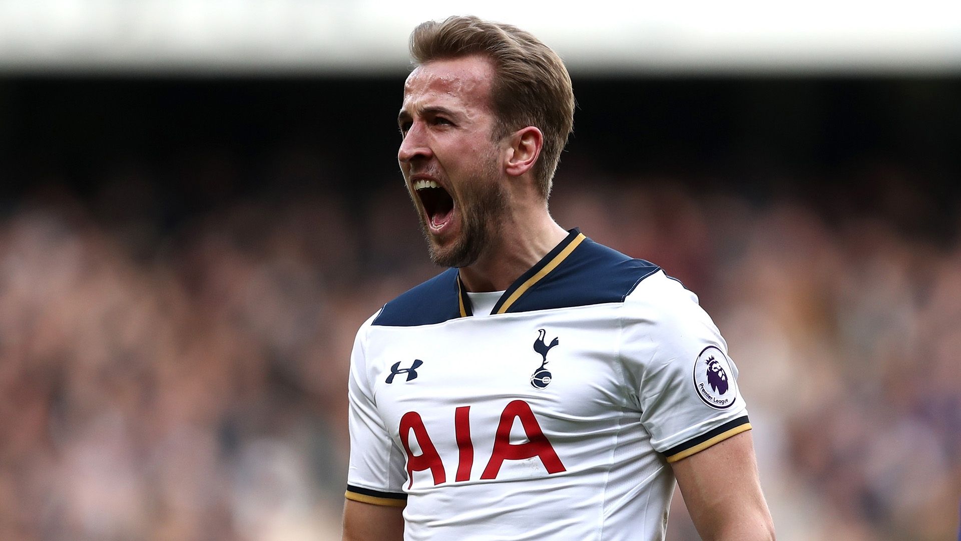 harry kane tottenham premier league 030517