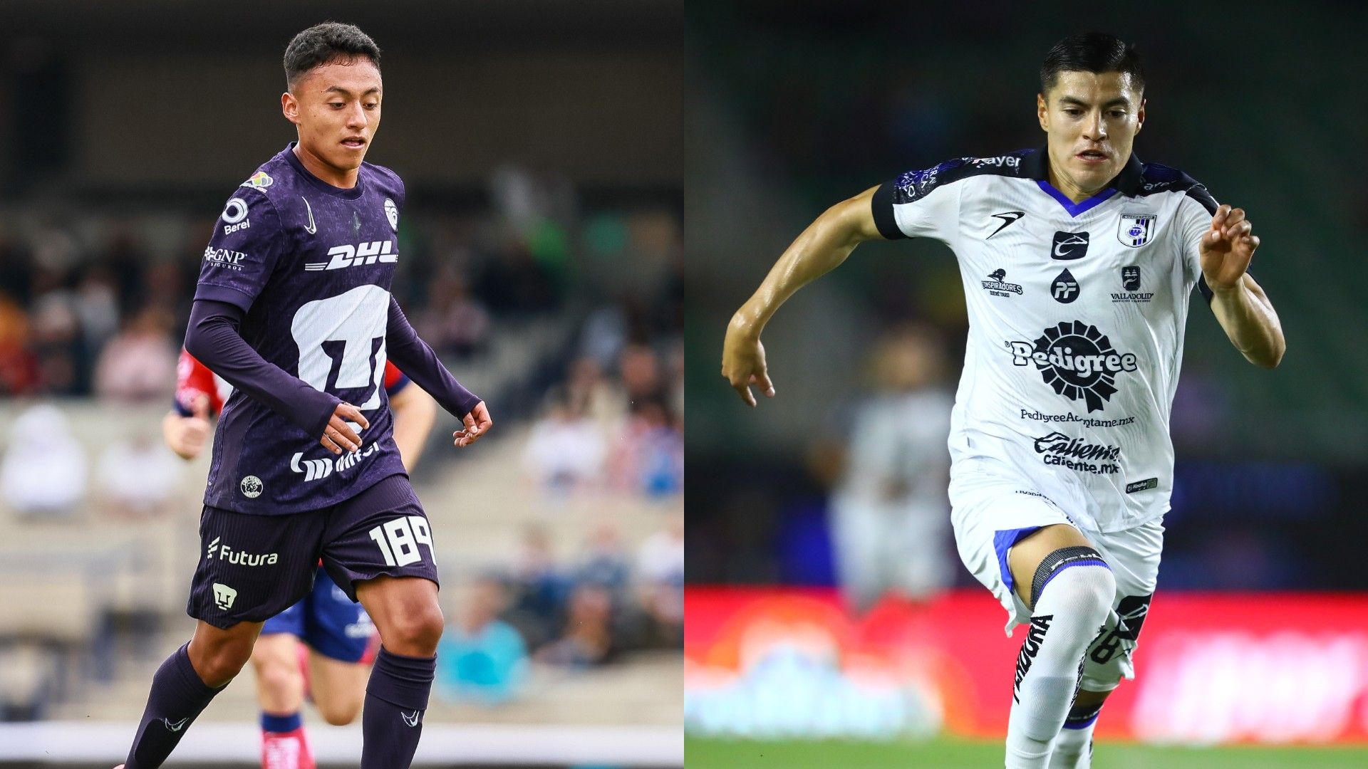 Pumas Querétaro Dónde ver Apertura 2024 Liga MX