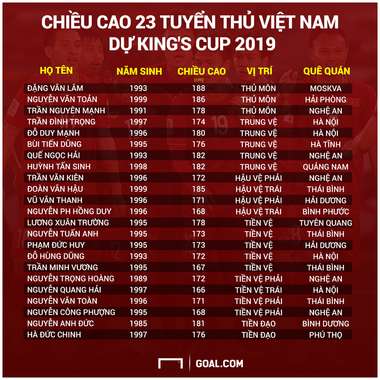 Vietnam National Football Team's Profile