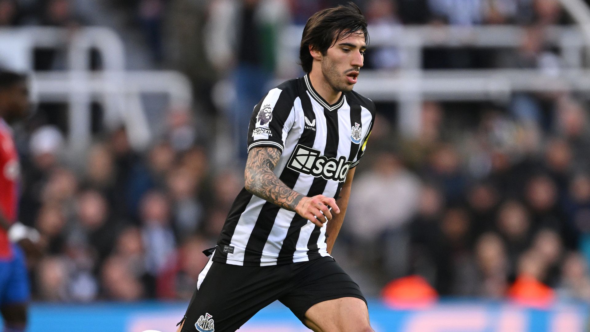 Tonali Newcastle