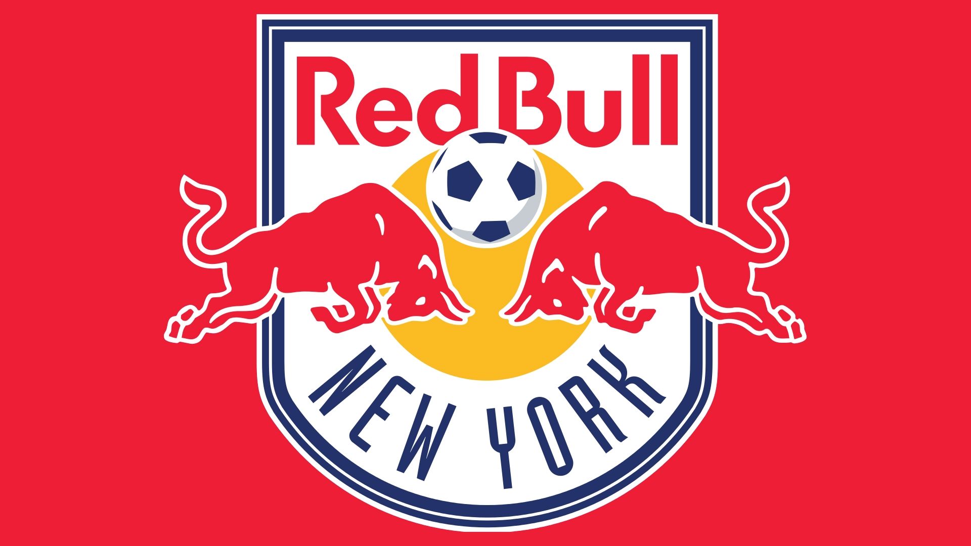 GFX New York Red Bulls logo Panel