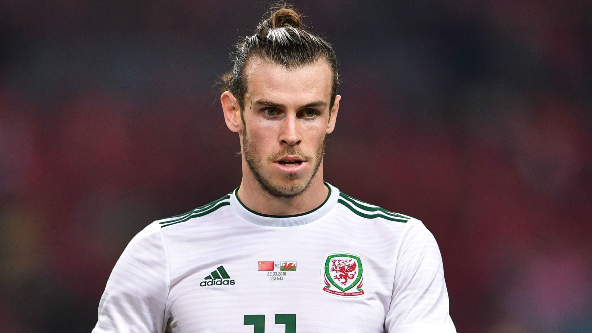 Gareth Bale Wales