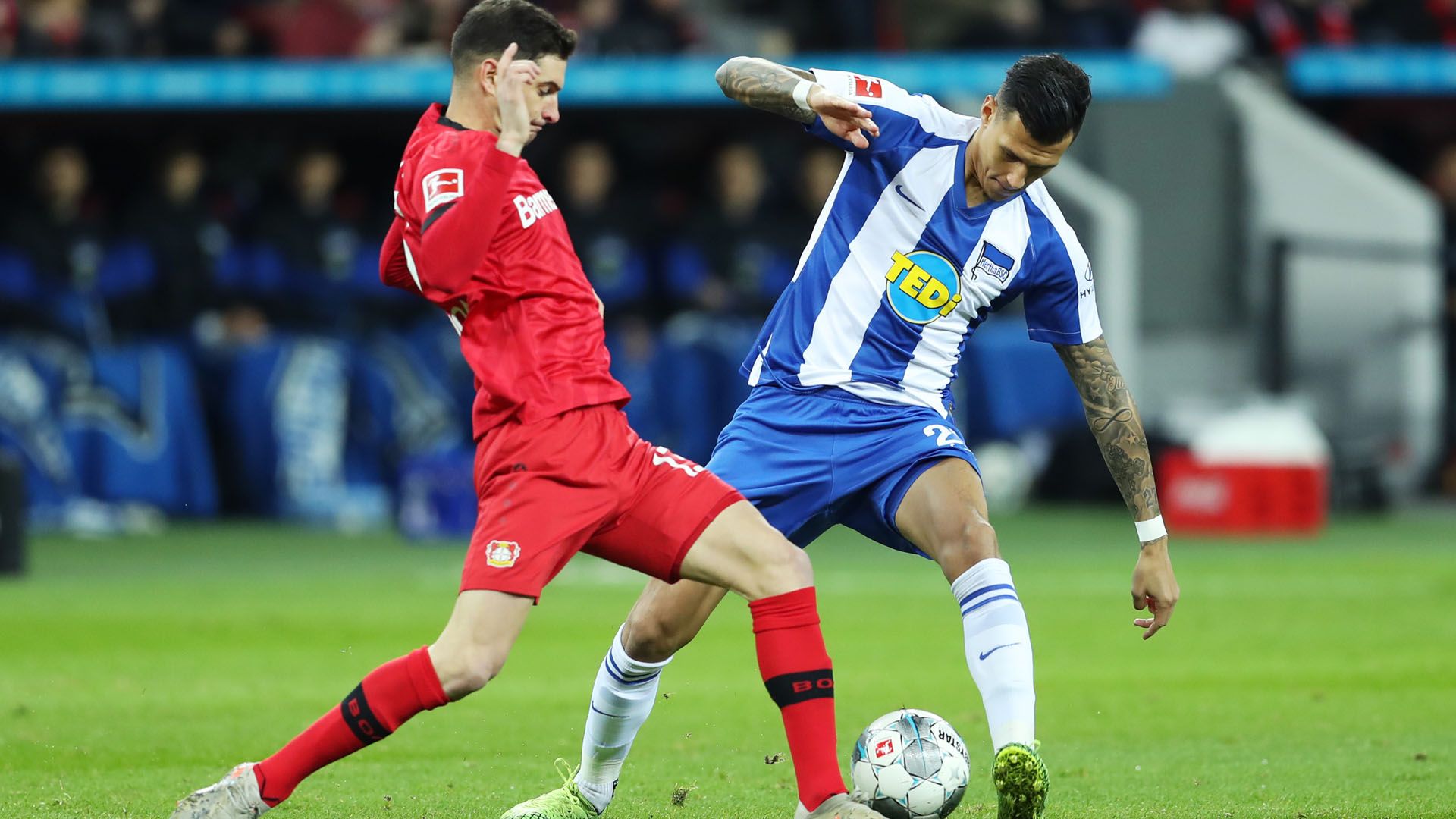 ALARIO SELKE LEVERKUSEN HERTHA