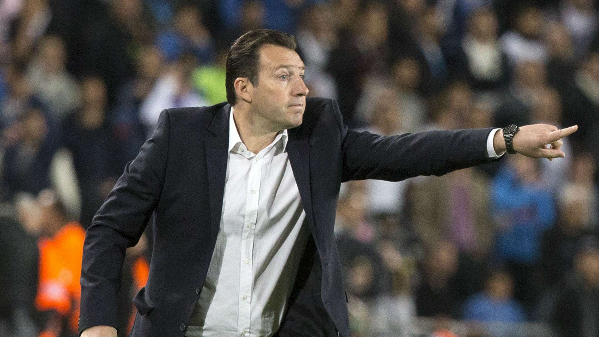 marcwilmots - cropped