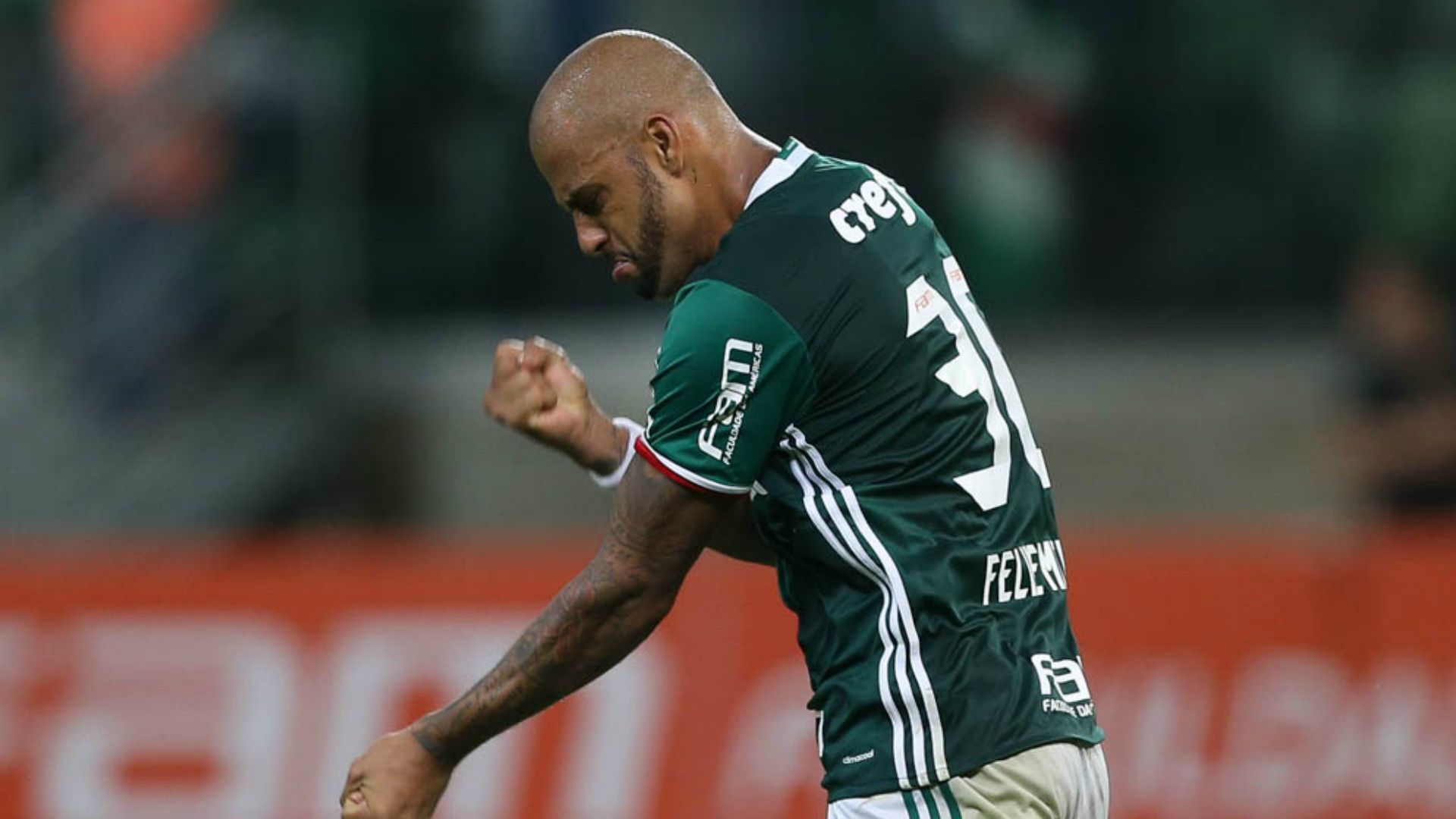 Felipe Melo - Palmeiras x Ponte Preta - 22/04/2017