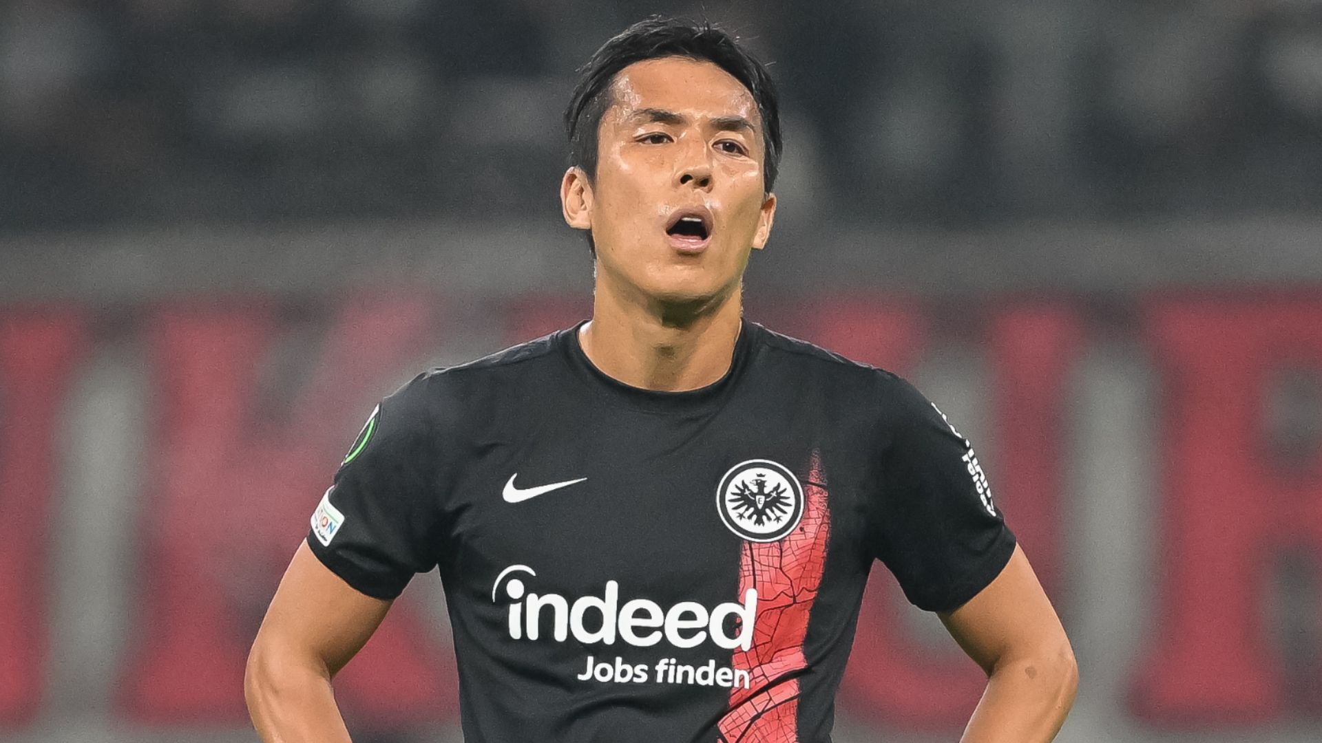 FotoJet_(44).jpg FotoJet_(44).jpg