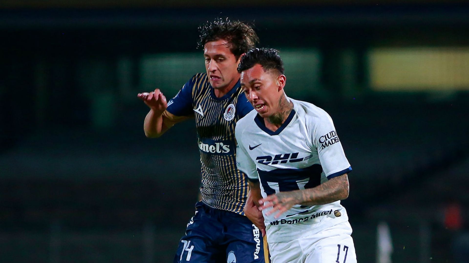 Pumas Atlético de San Luis