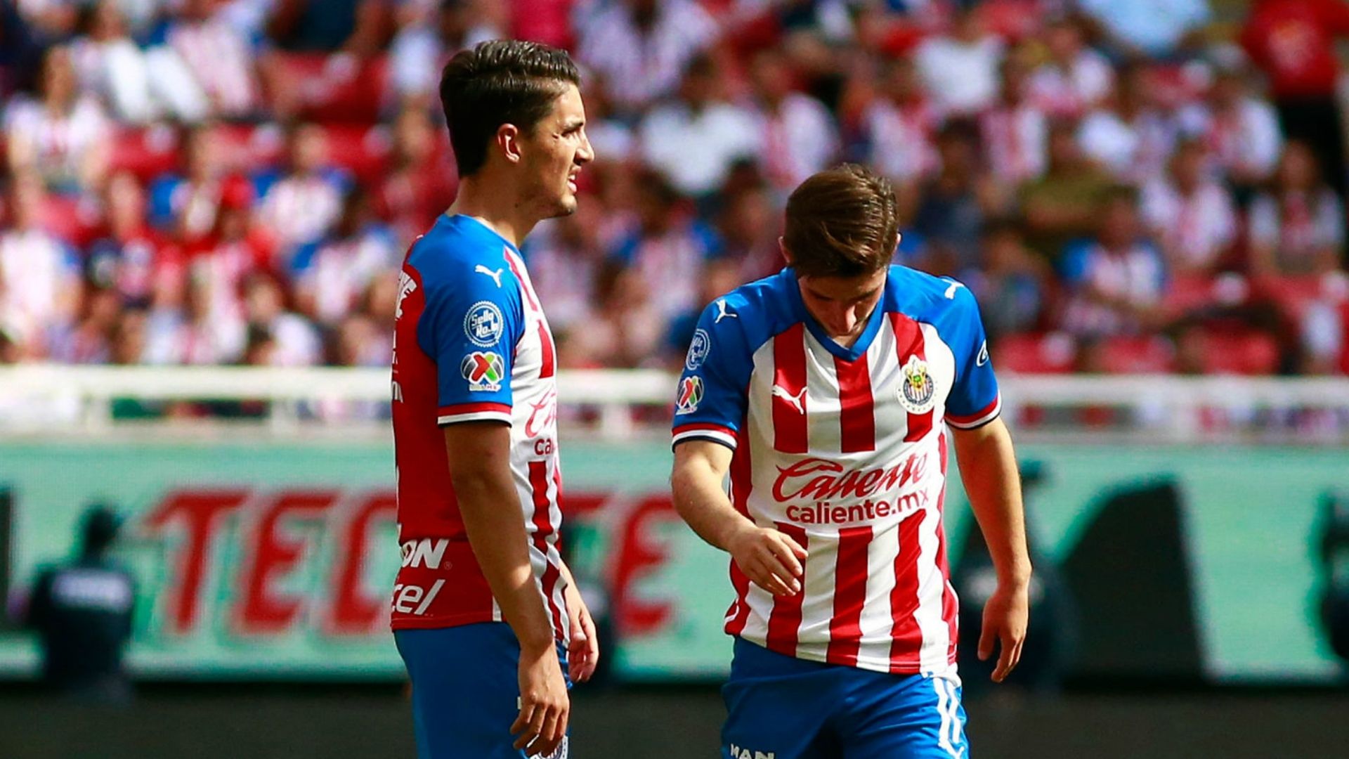 Chivas
