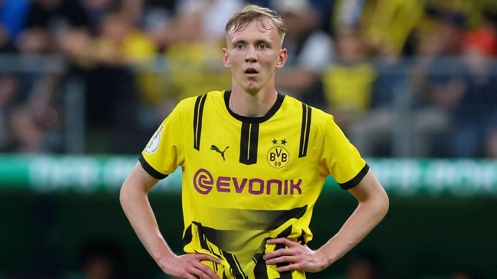 Maximilian Beier BVB