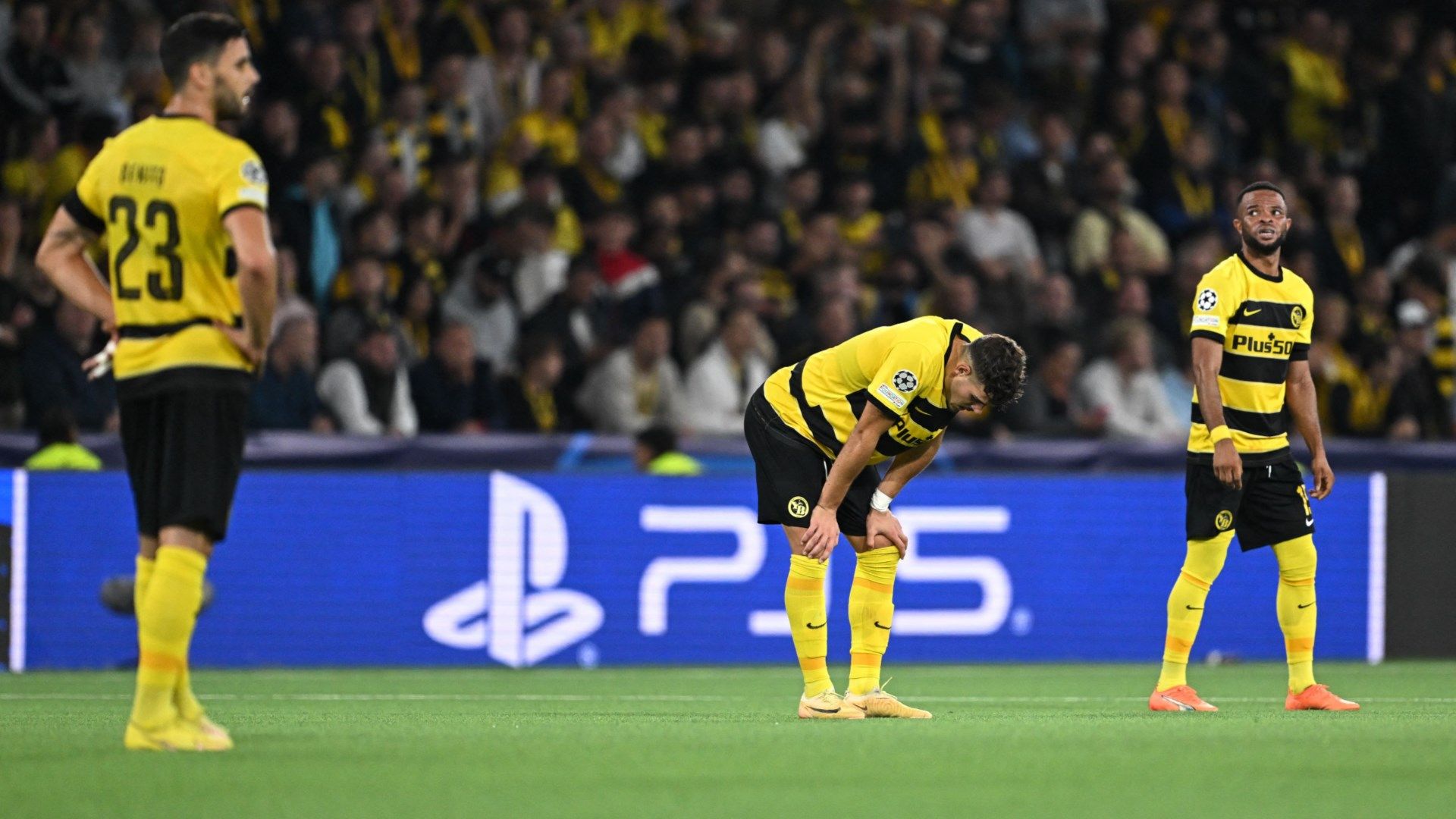 Young Boys Champions League 2023-24