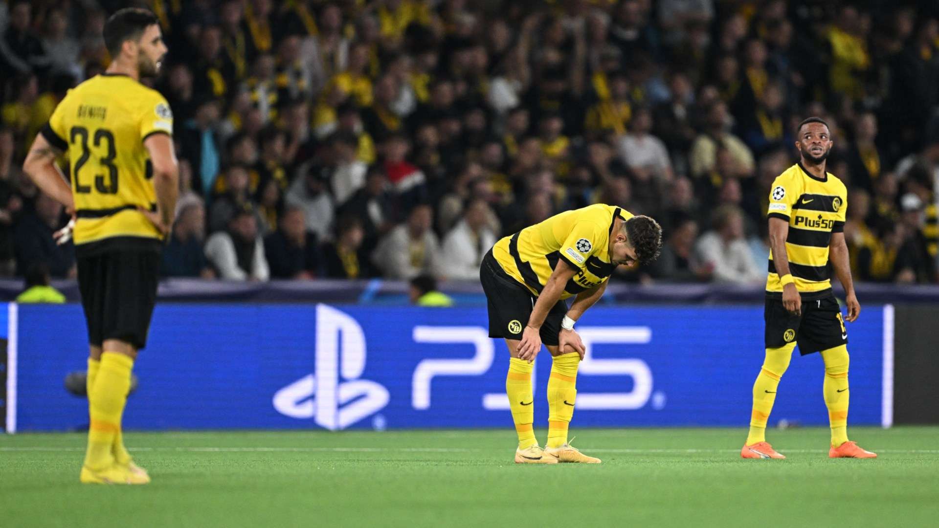 Young Boys Champions League 2023-24