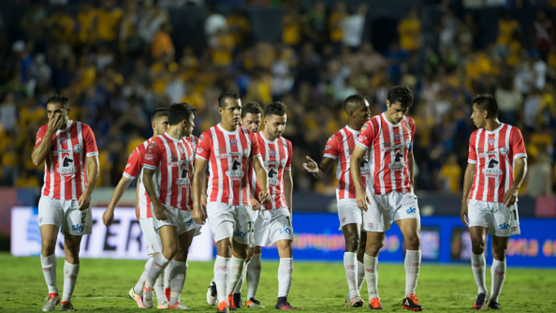 Necaxa Liga MX Apertura 2016