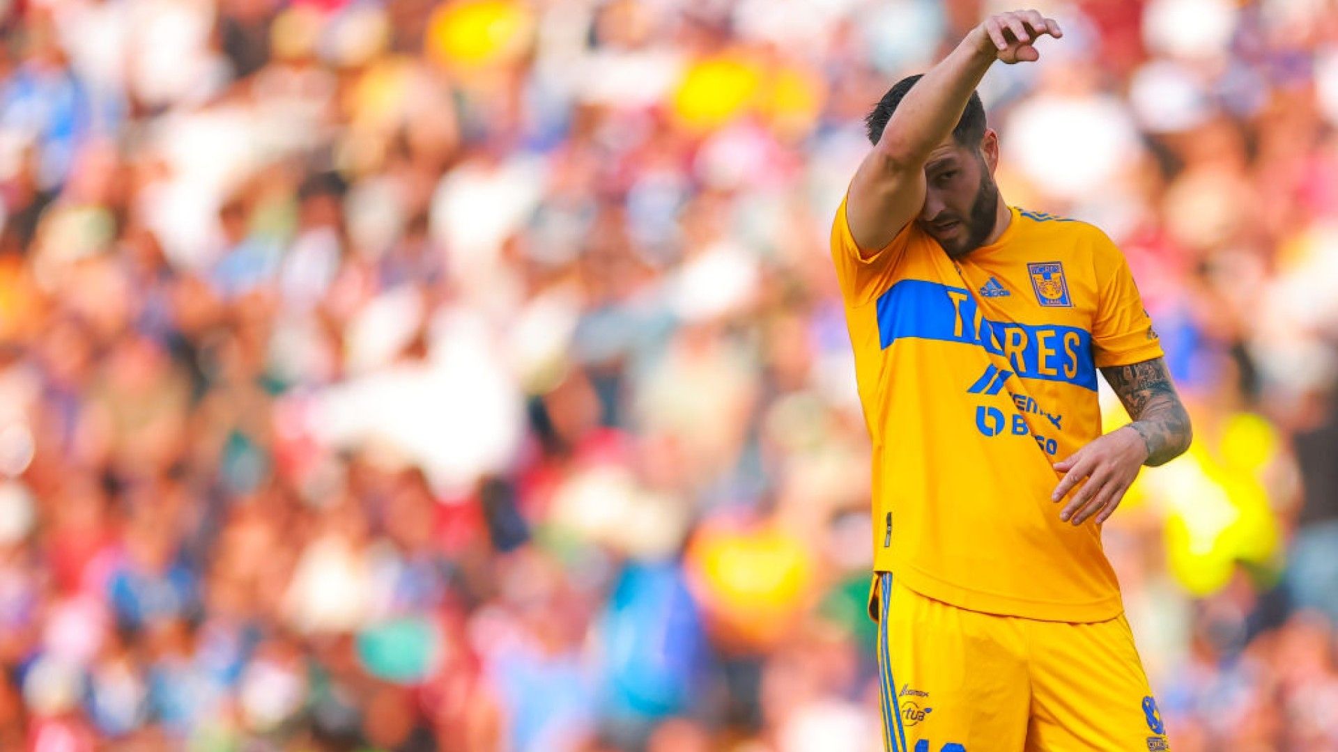 André-Pierre Gignac Tigres Clausura 2023