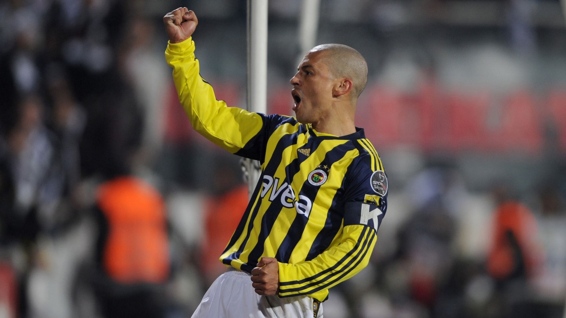 Alex de Souza Fenerbahce