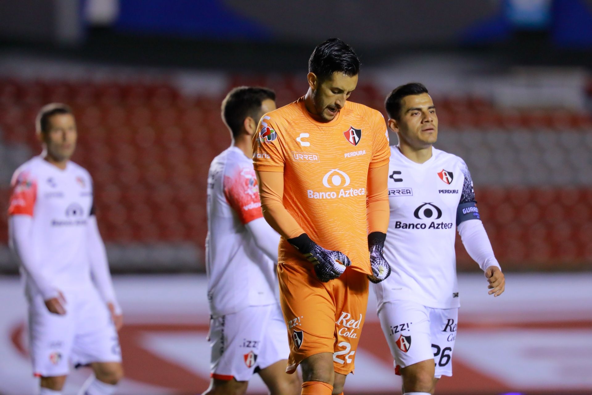 Atlas Guardianes 2021 / Camilo Vargas, Aldo Rocha