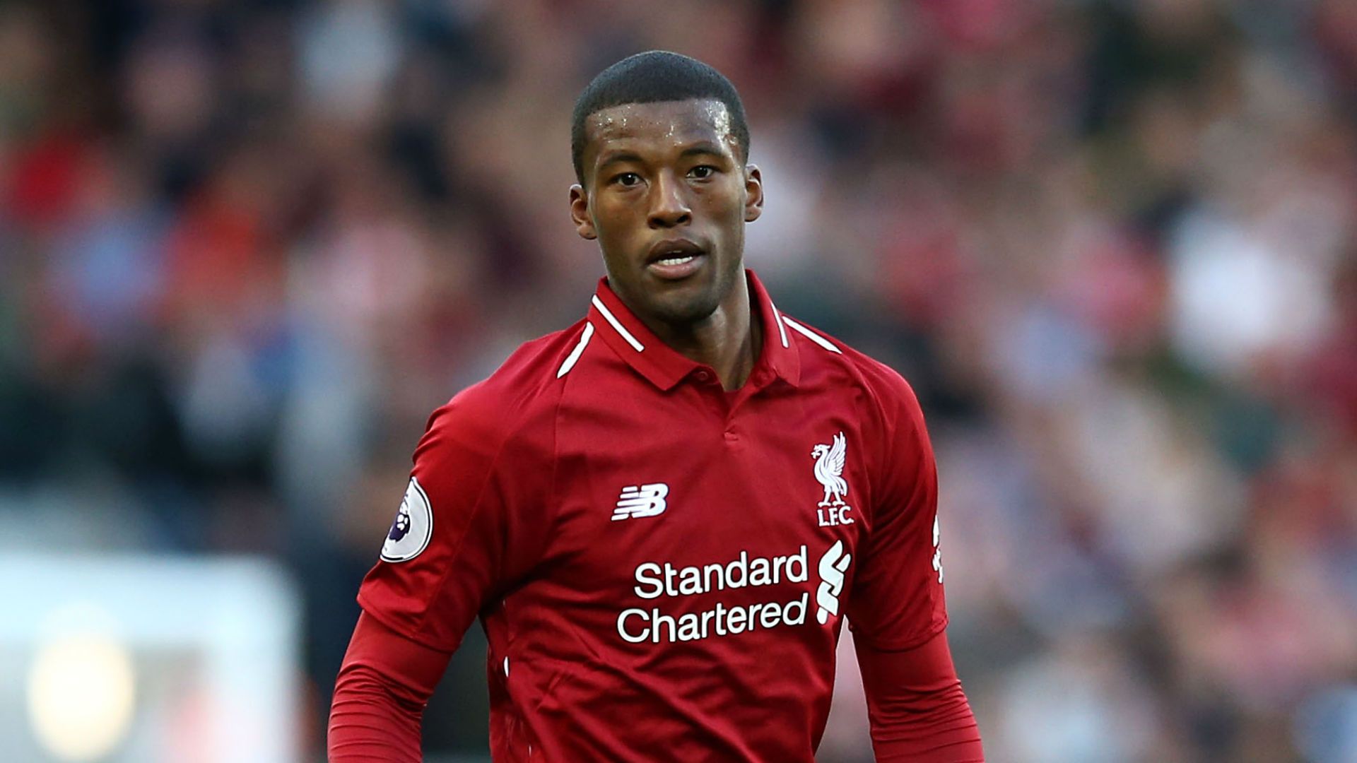 Gini Wijnaldum Liverpool