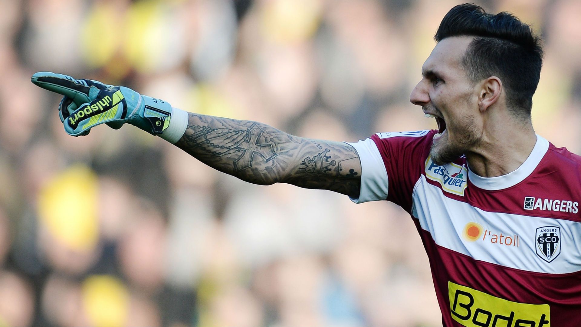 Alexandre Letellier Angers