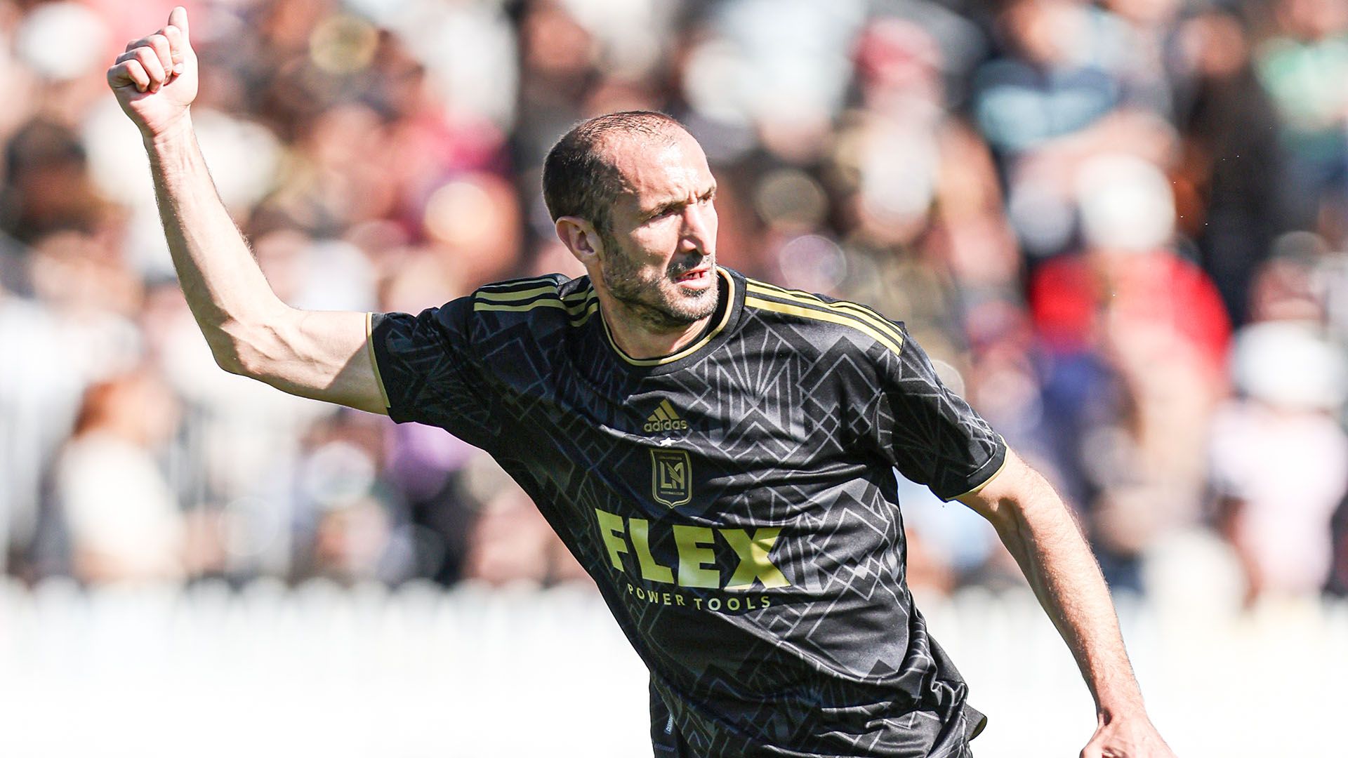 Chiellini LAFC 2022-23