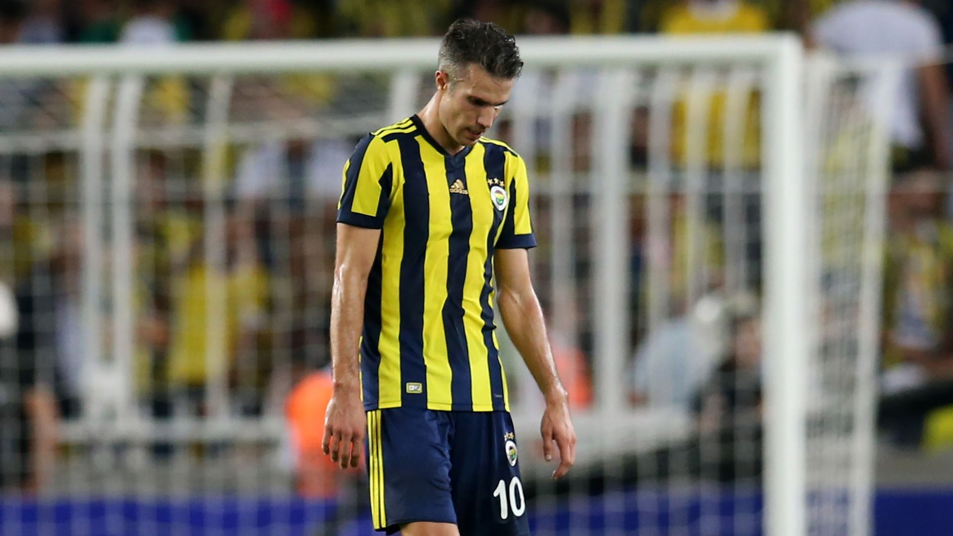 Robin van Persie Fenerbahce