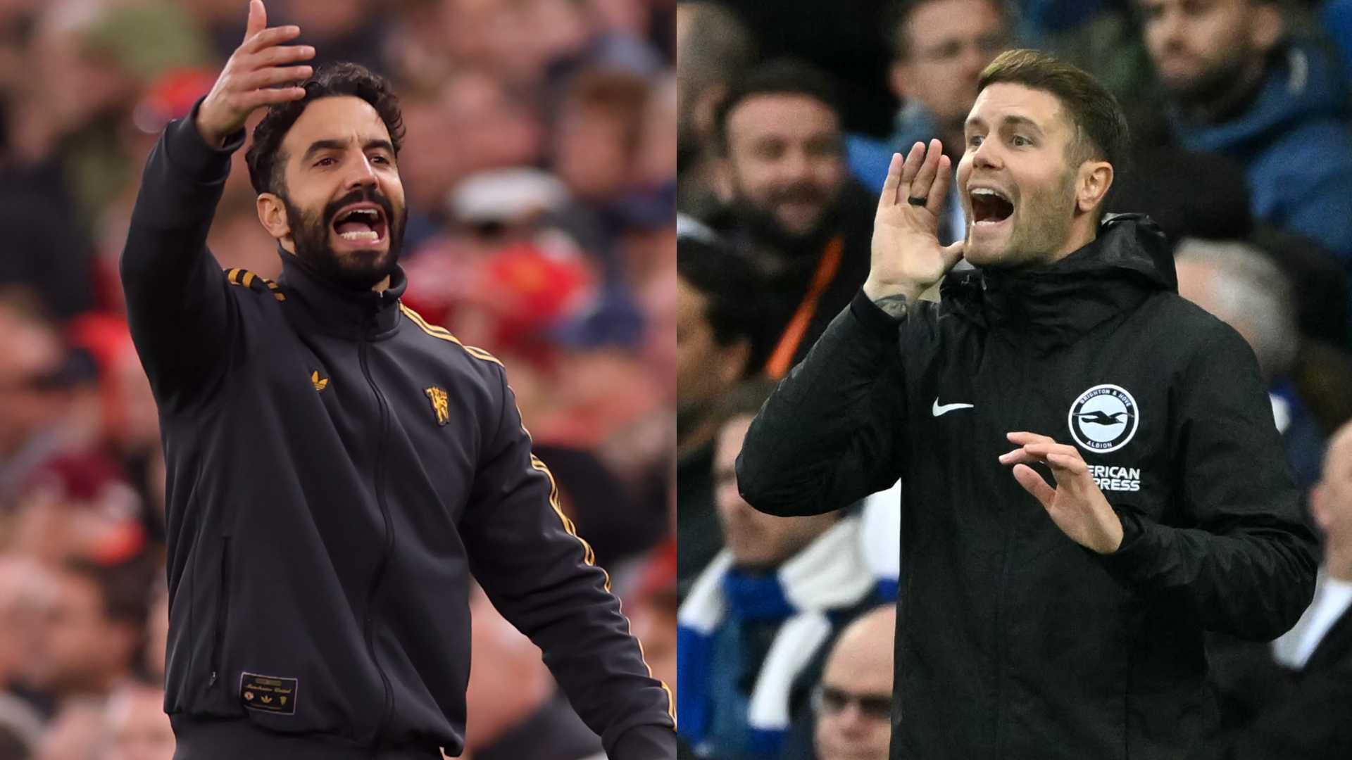 manchester united brighton