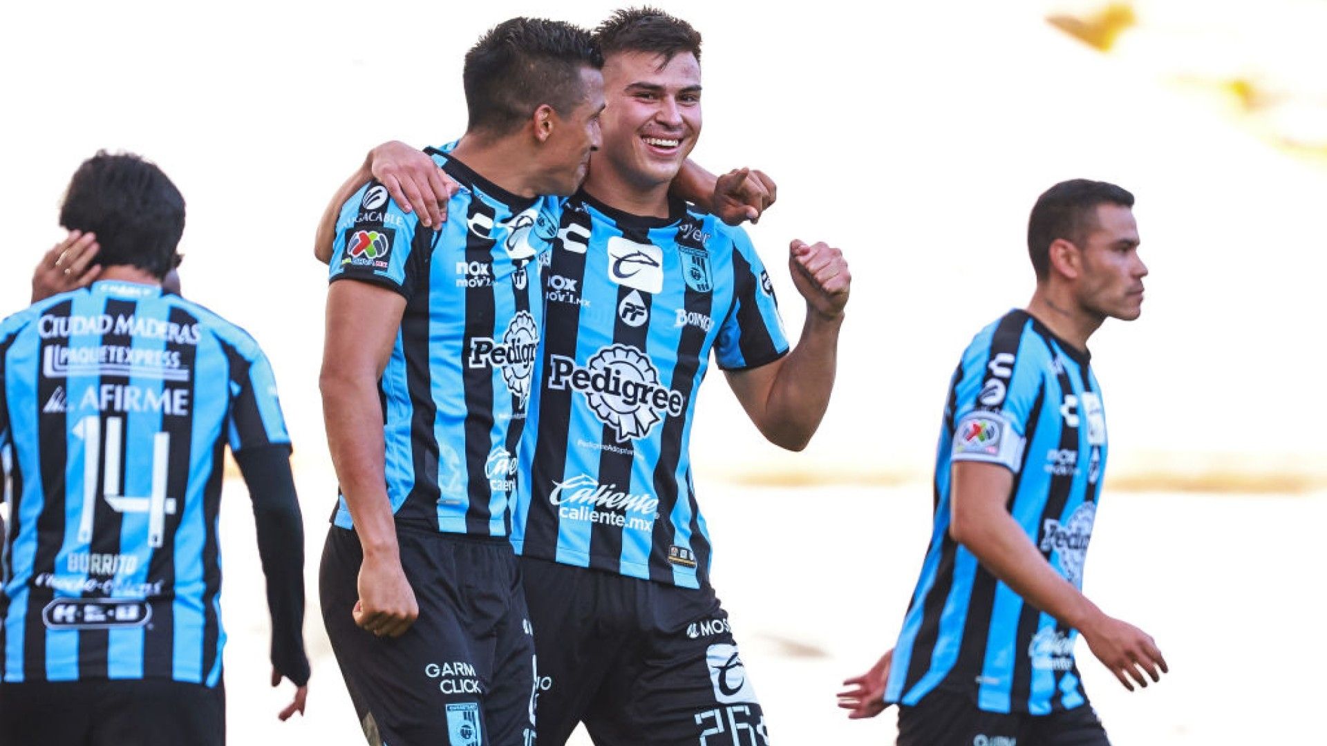 Querétaro celebración Apertura 2022