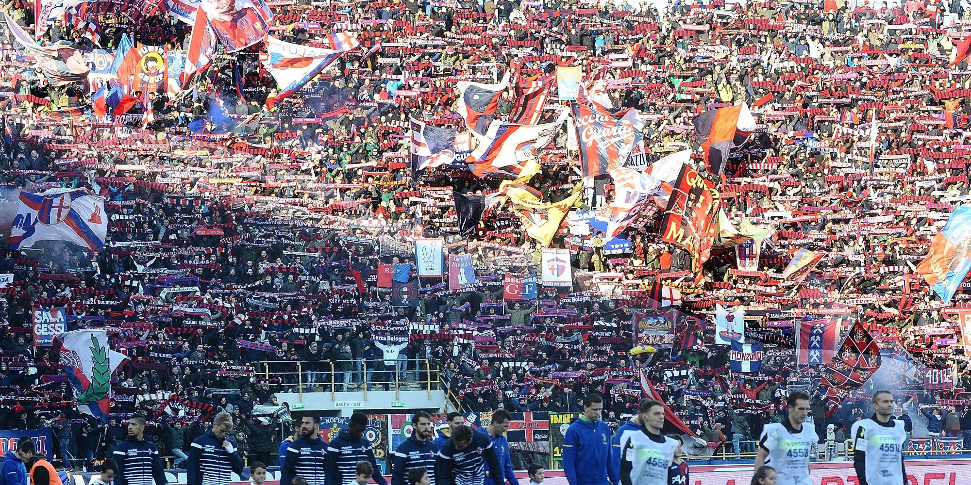 Stadio Renato Dall'Ara Bologna