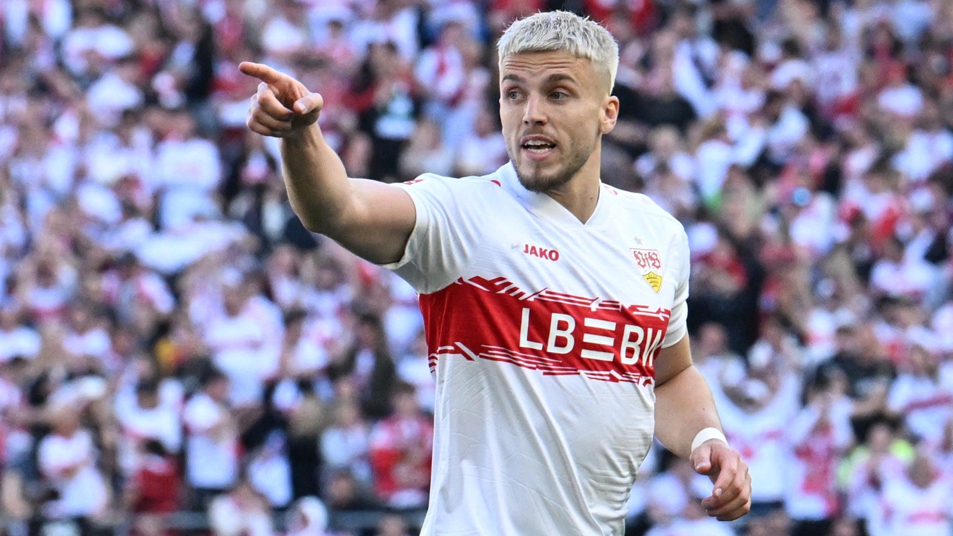 ERMEDIN DEMIROVIC STUTTGART