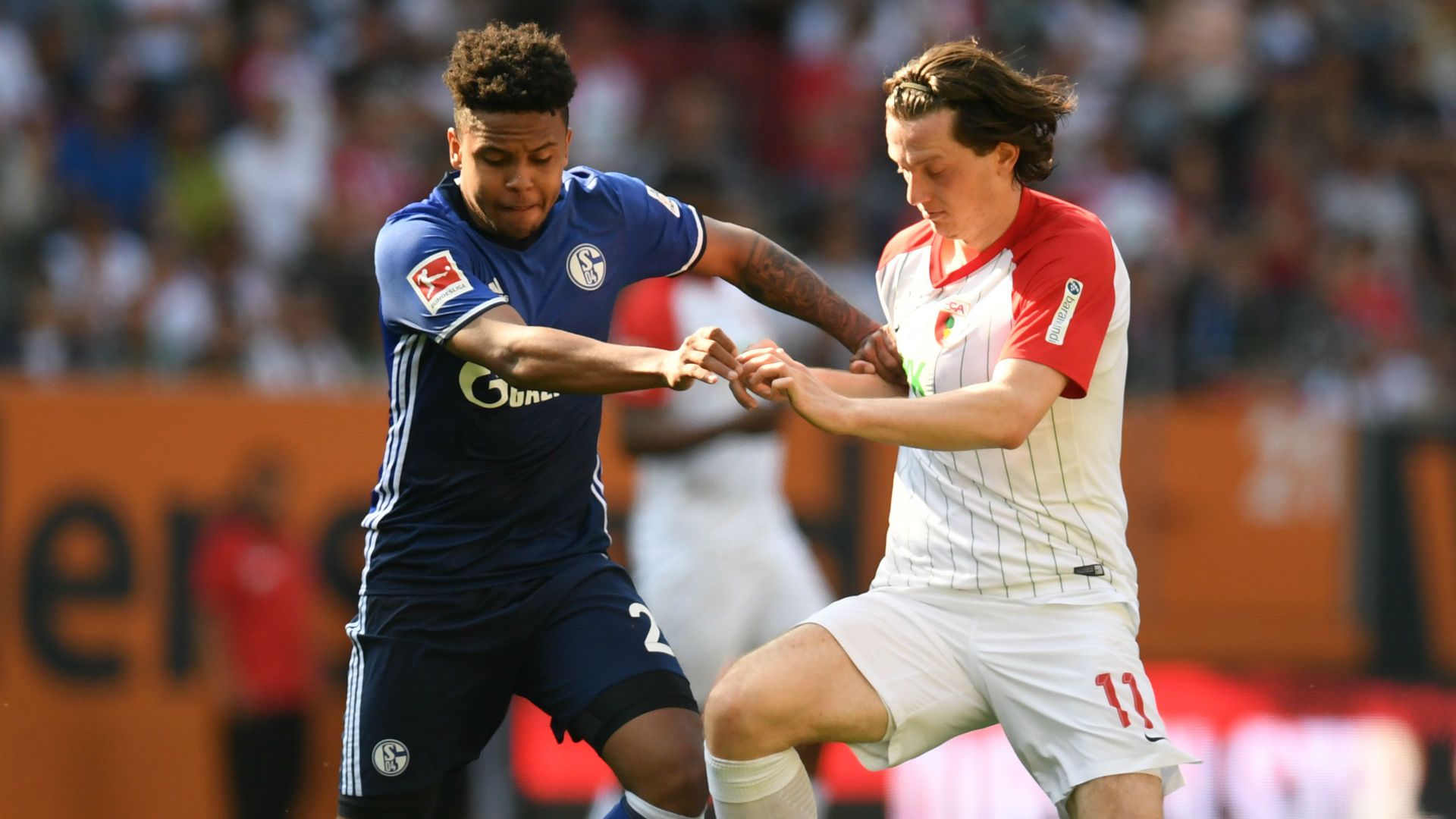 Weston McKennie Schalke Augsburg Bundesliga
