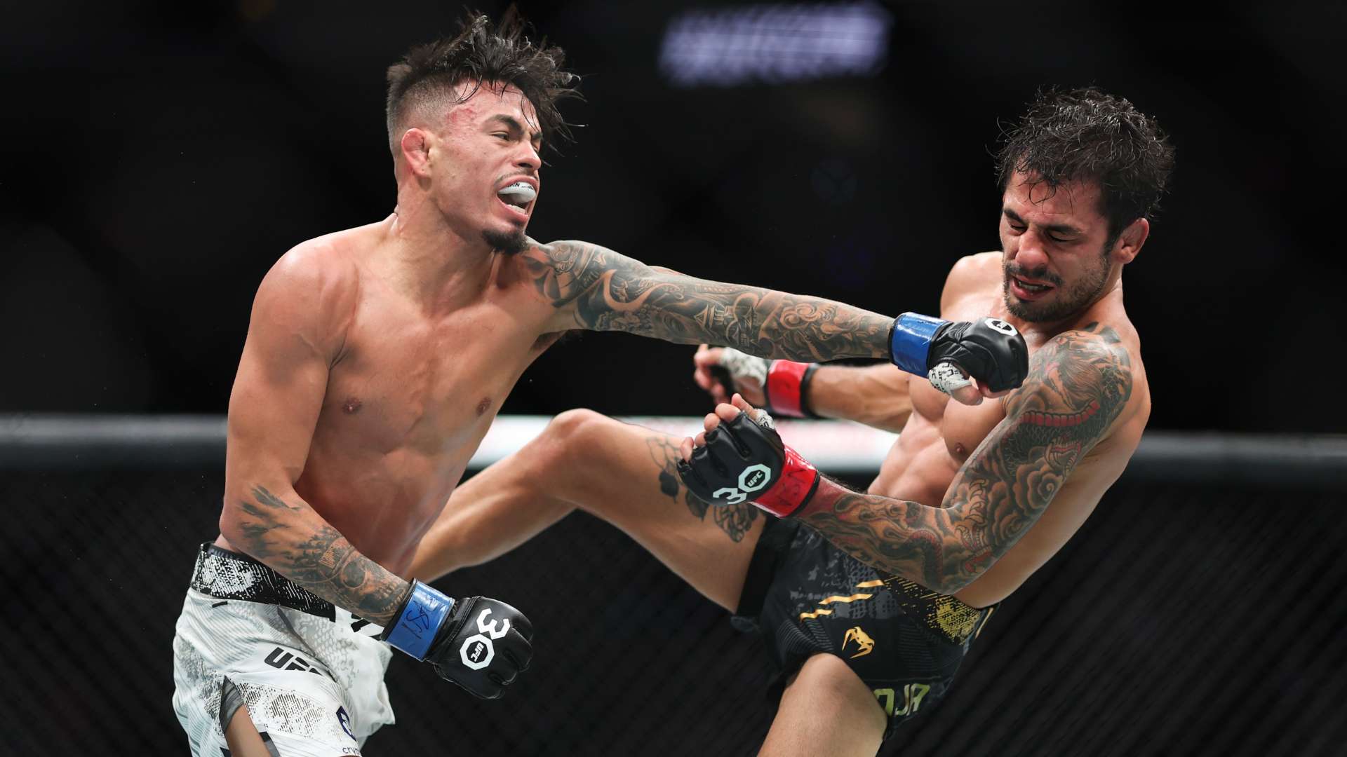 UFC 296: Pantoja vs Royval