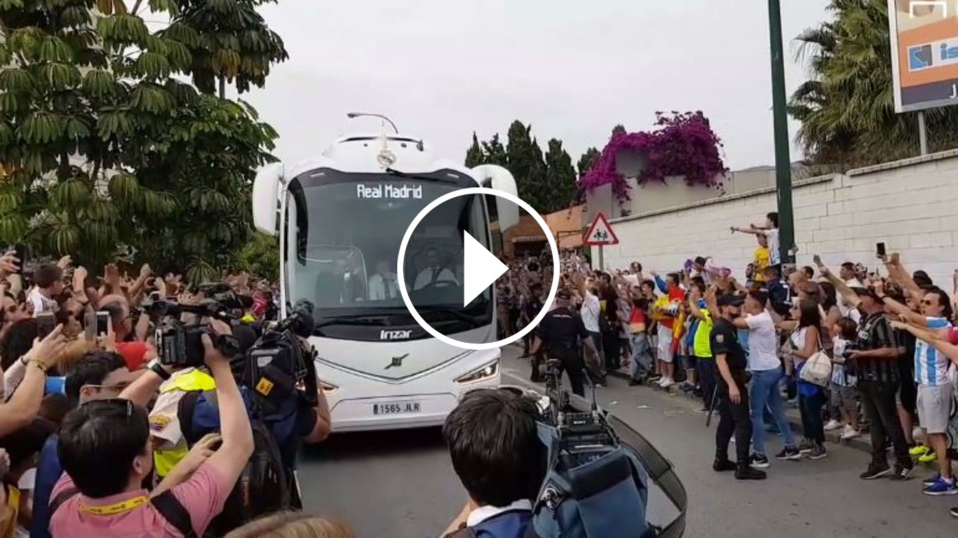 Bus