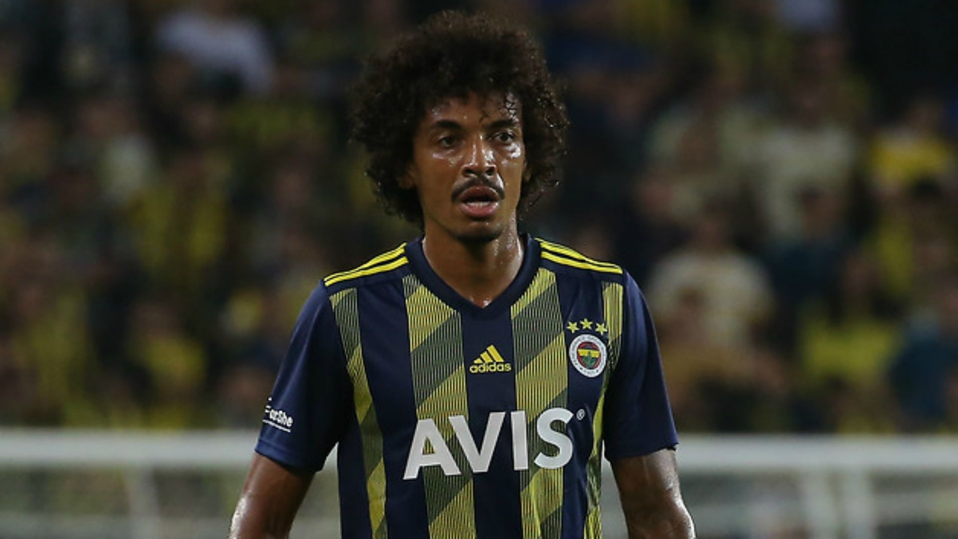 Luiz Gustavo Fenerbahce