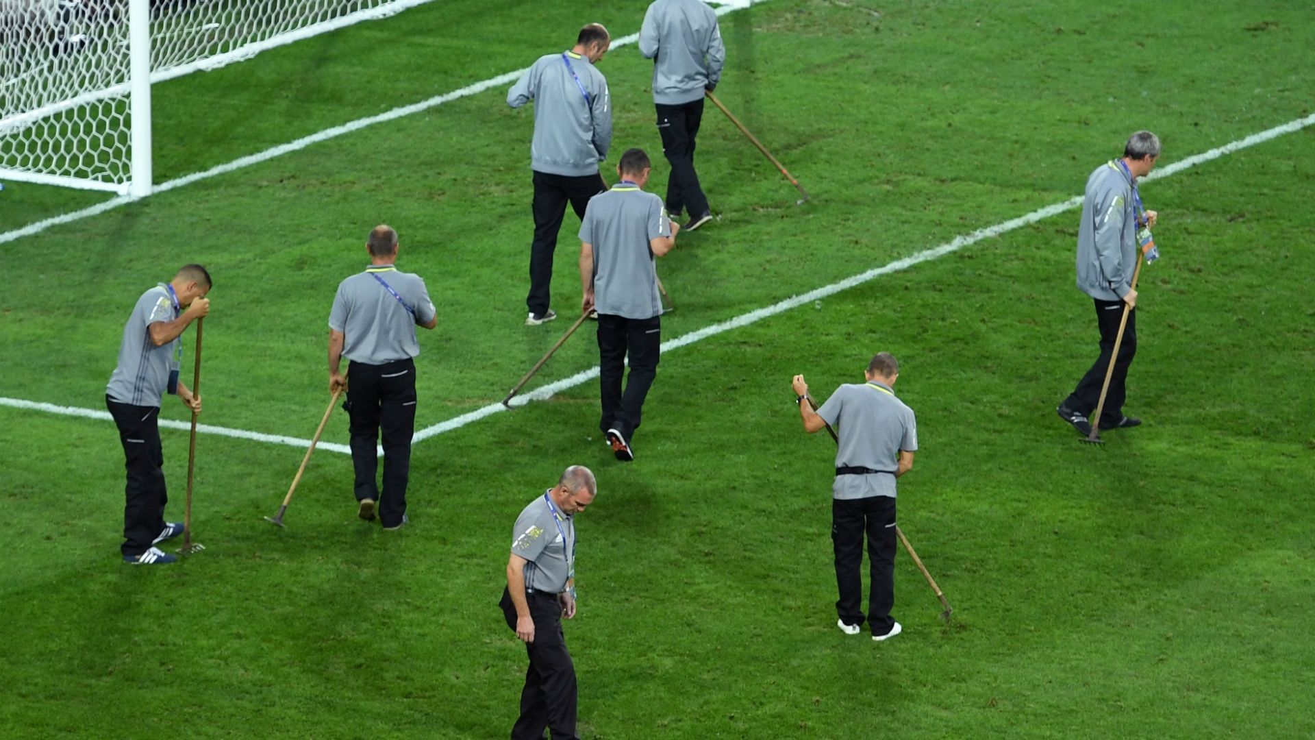 Grass pitch Stade Pierre-Mauroy Lille