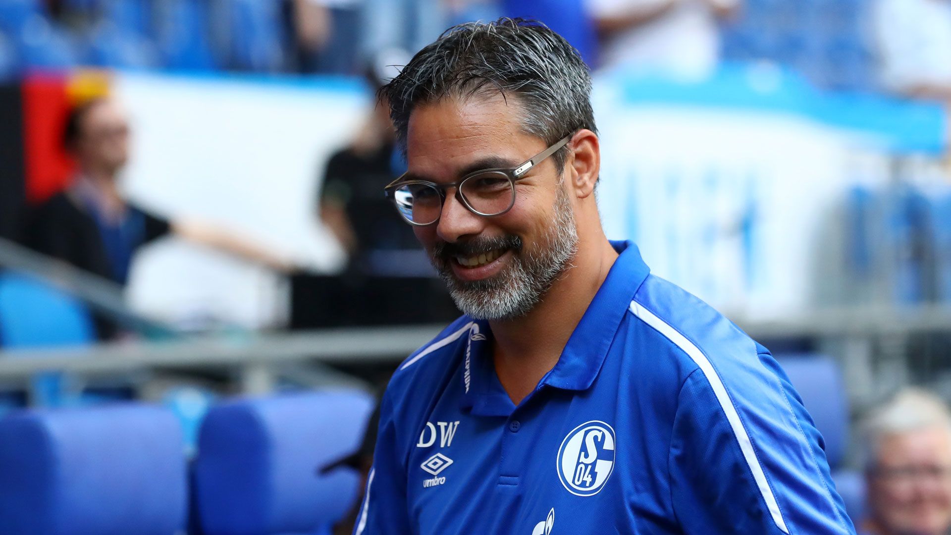 David Wagner Schalke