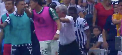 Tuca Ferretti Regaño