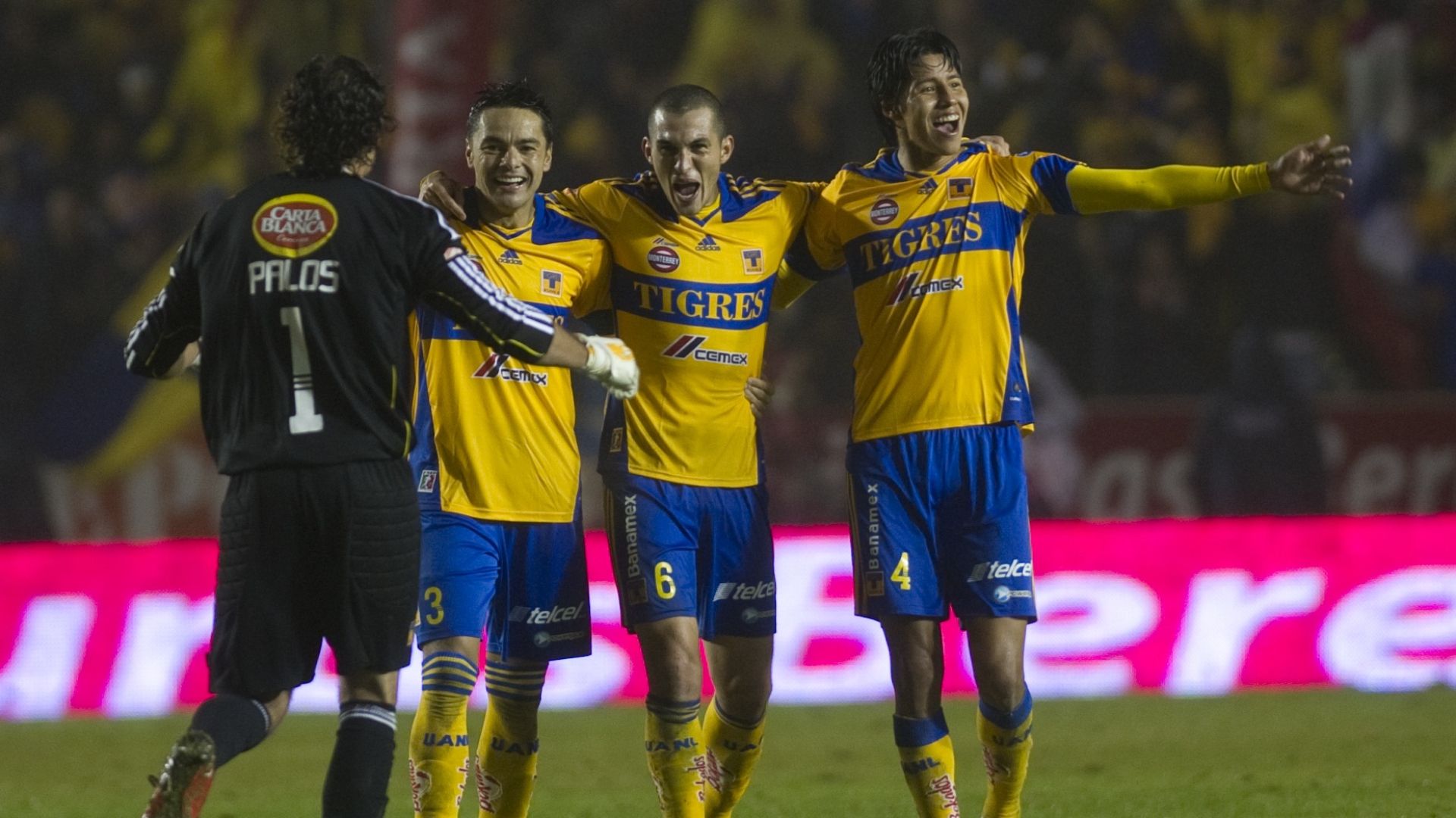 Tigres 2011