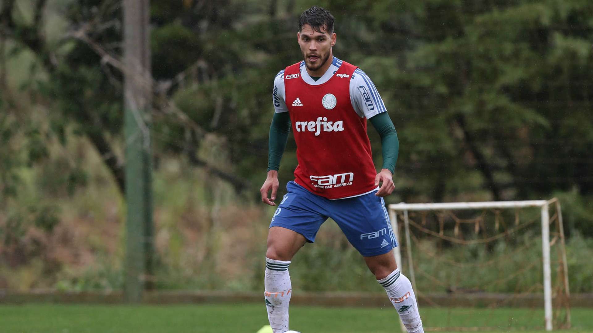 Nico Freire - Palmeiras - 3/11/2018