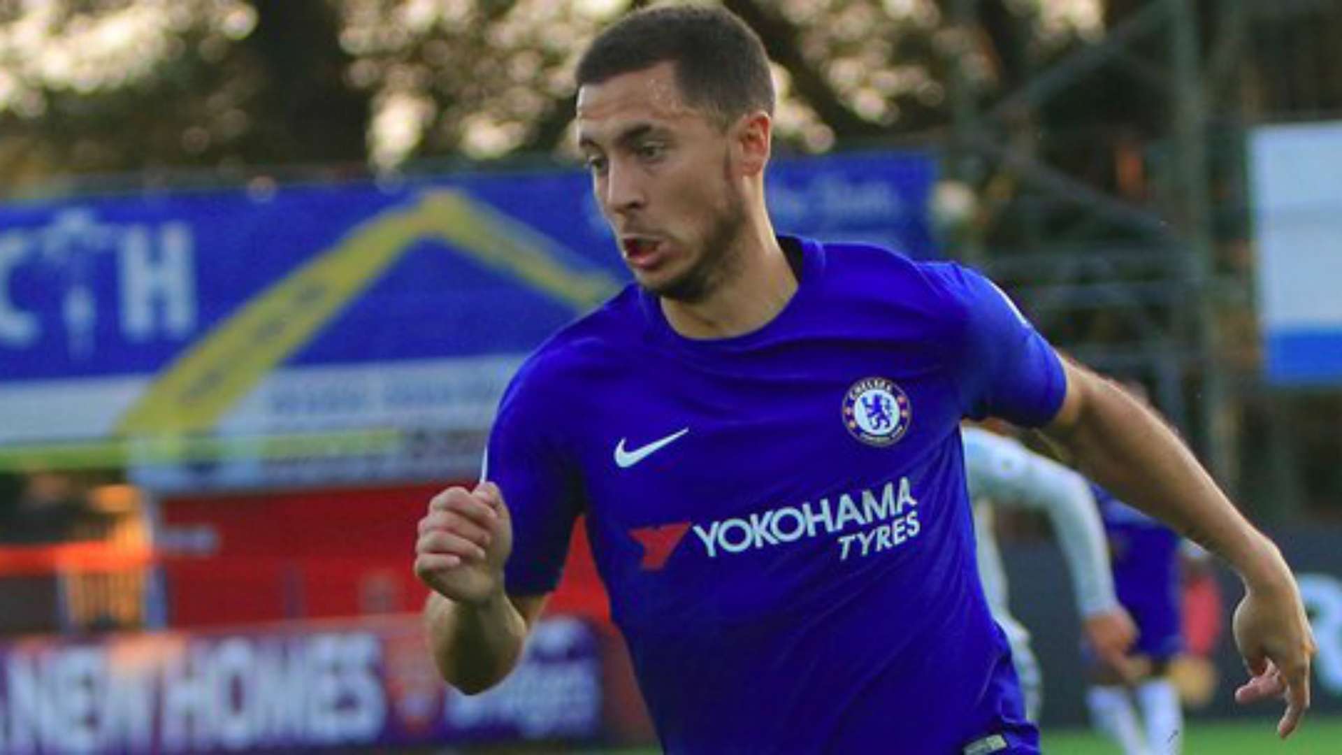 Hazard - Cropped