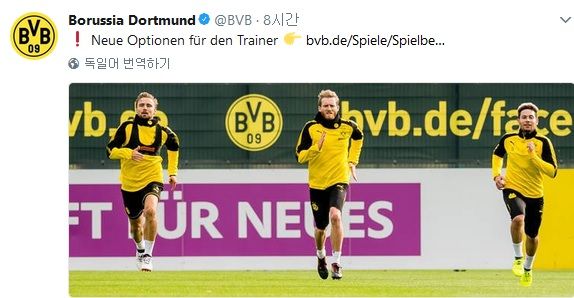 Marcel Schmelzer & Andre Schurrle & Raphael Guerreiro