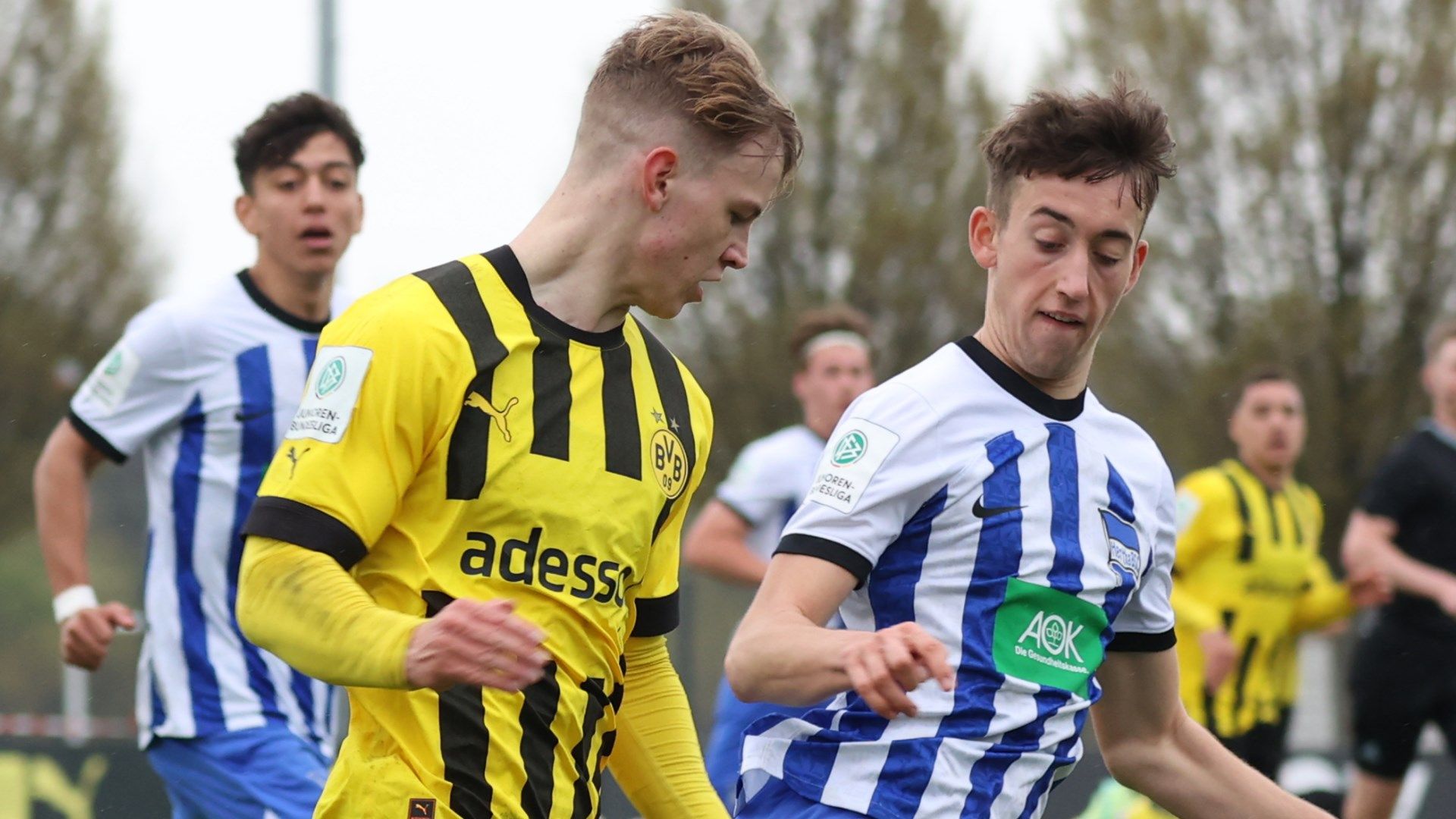 Cole Campbell Borussia Dortmund