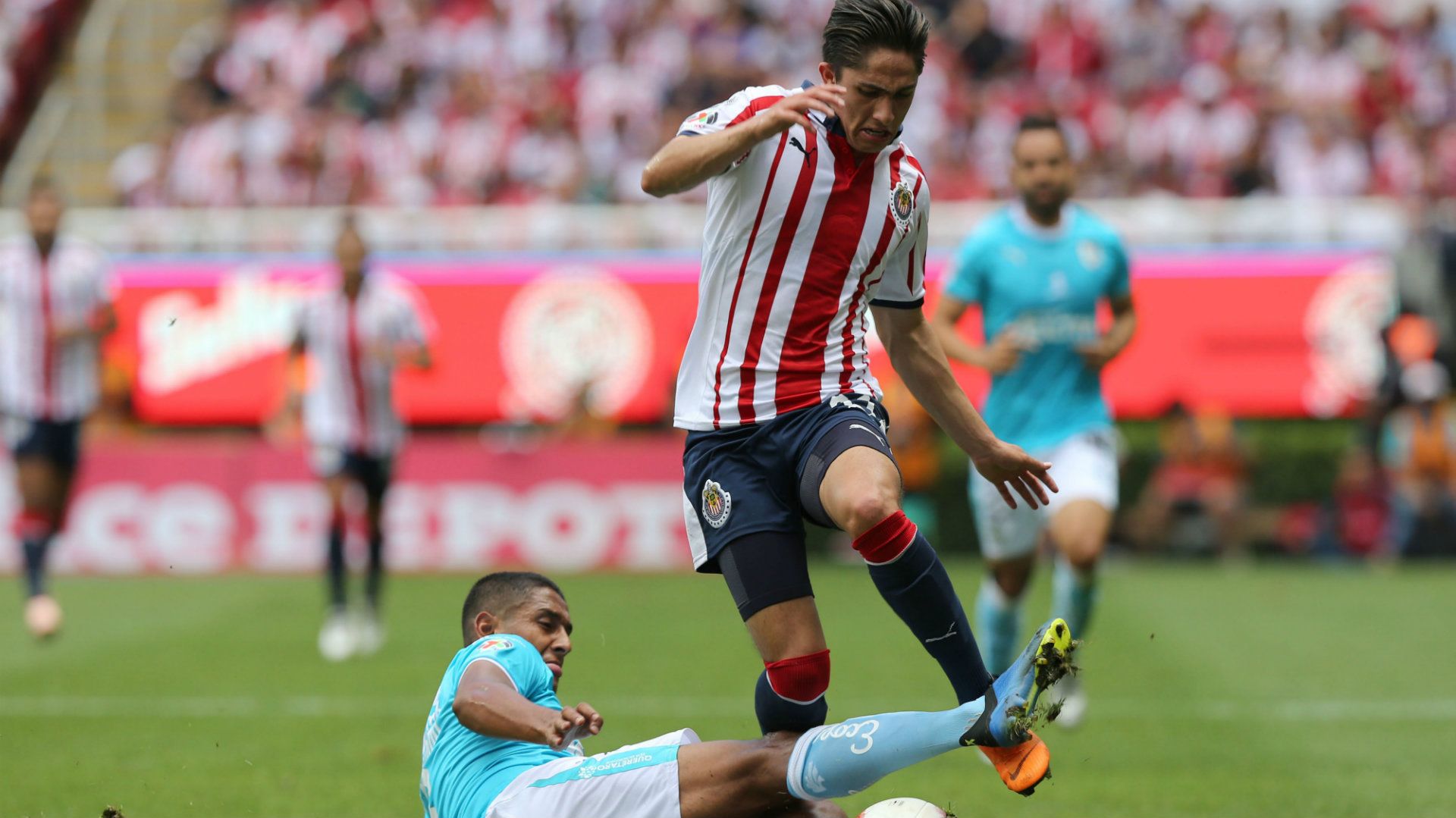 Chivas vs Querétaro Liga MX Apertura 2018