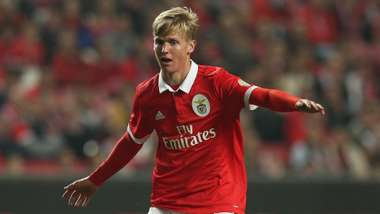 Keaton Parks Benfica