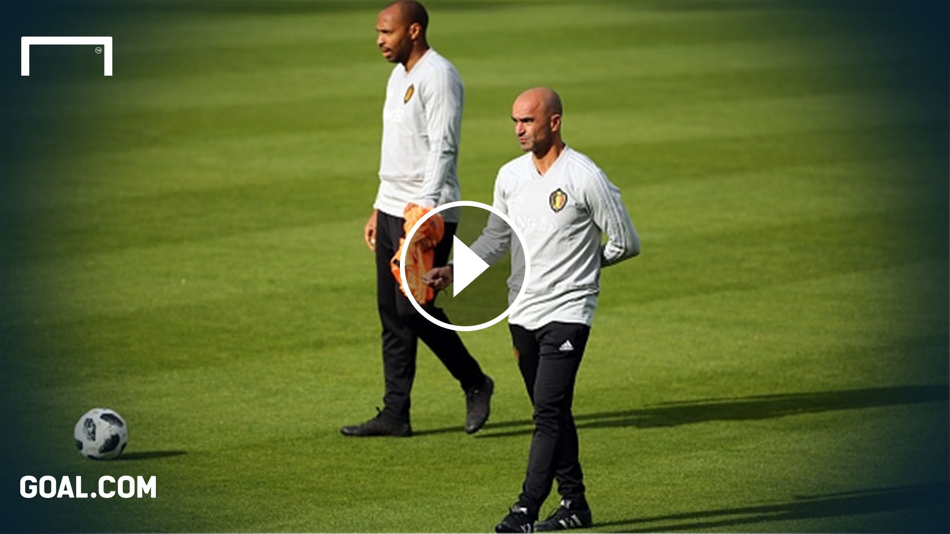 GERMANY ONLY Roberto Martinez Thierry Henry