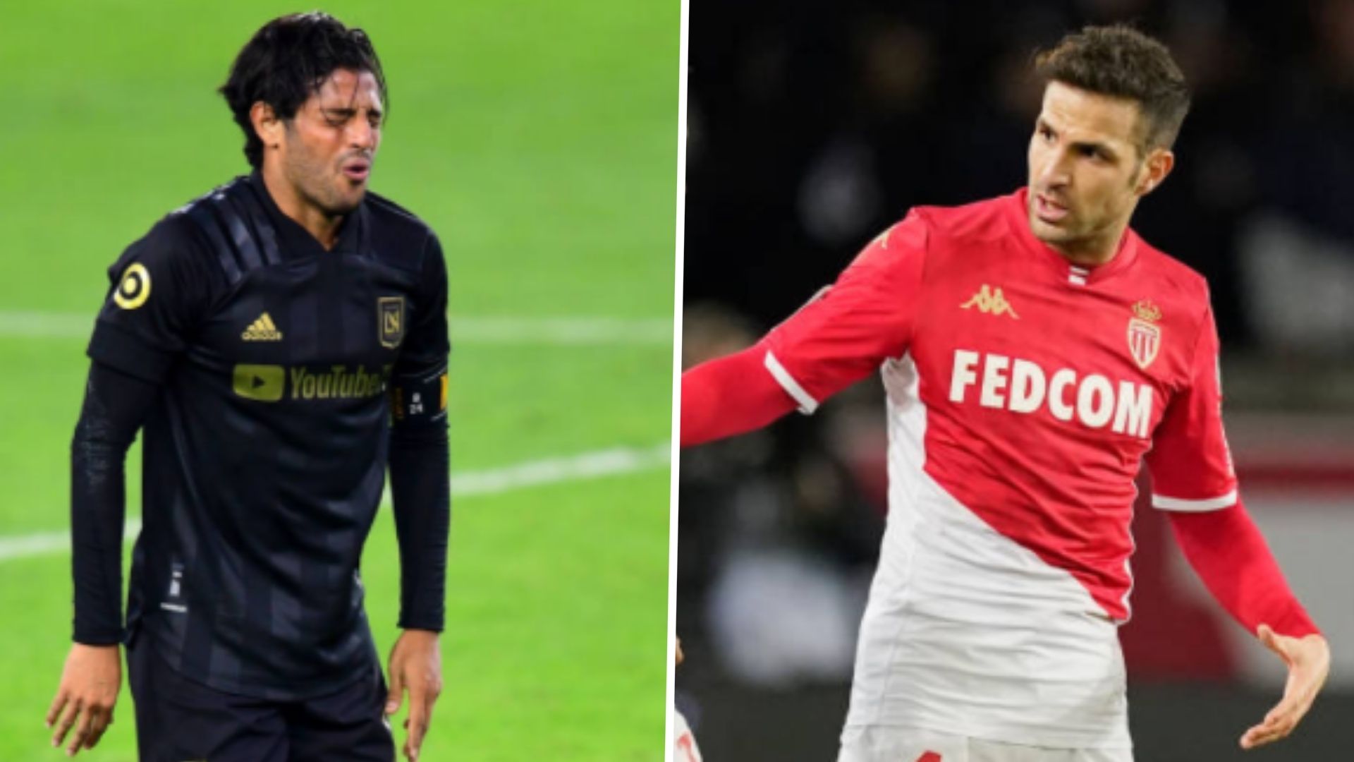 Carlos Vela Fábregas