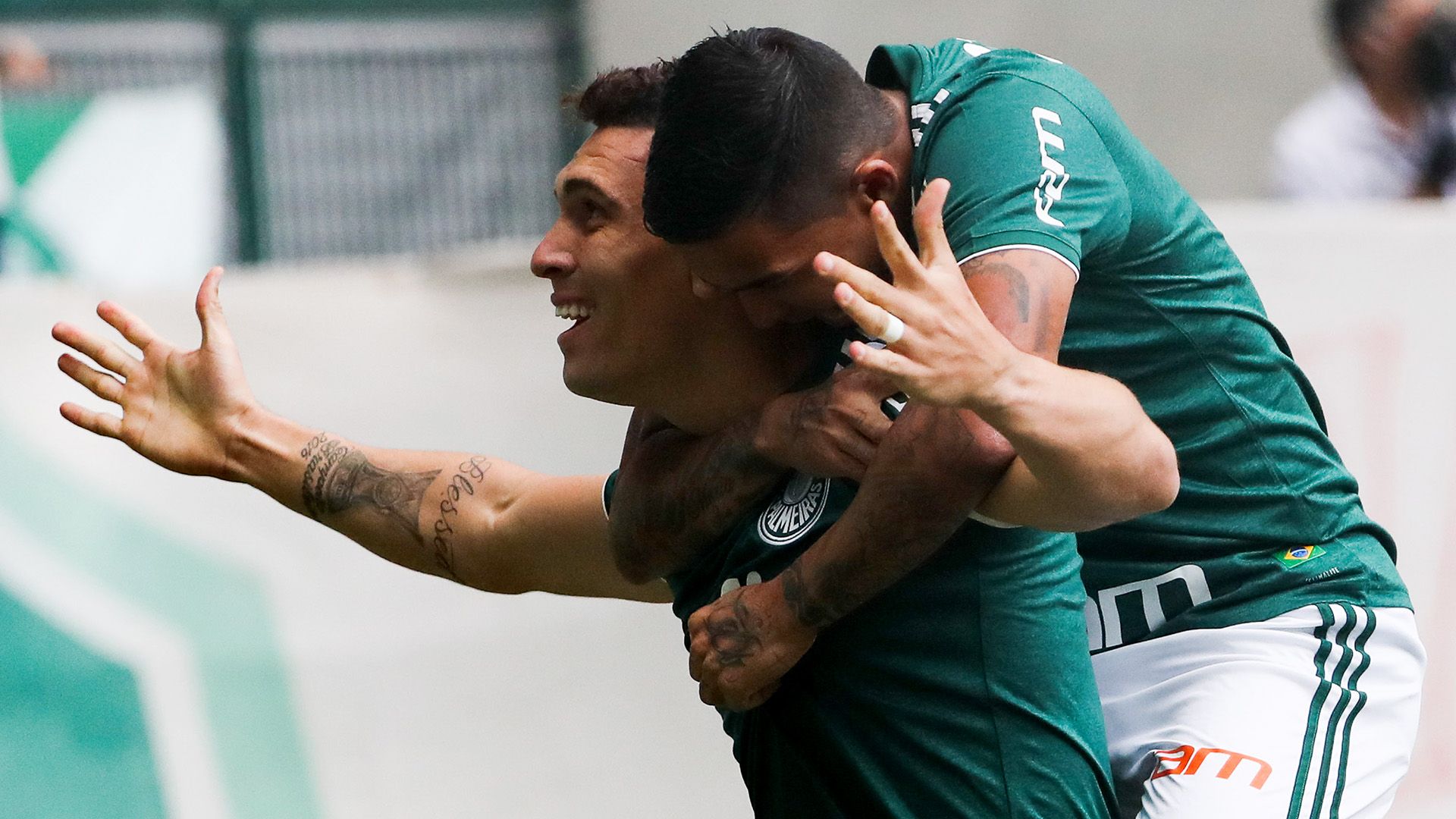 Moises Dudu Palmeiras Atletico-MG Brasileirao Serie A 22072018