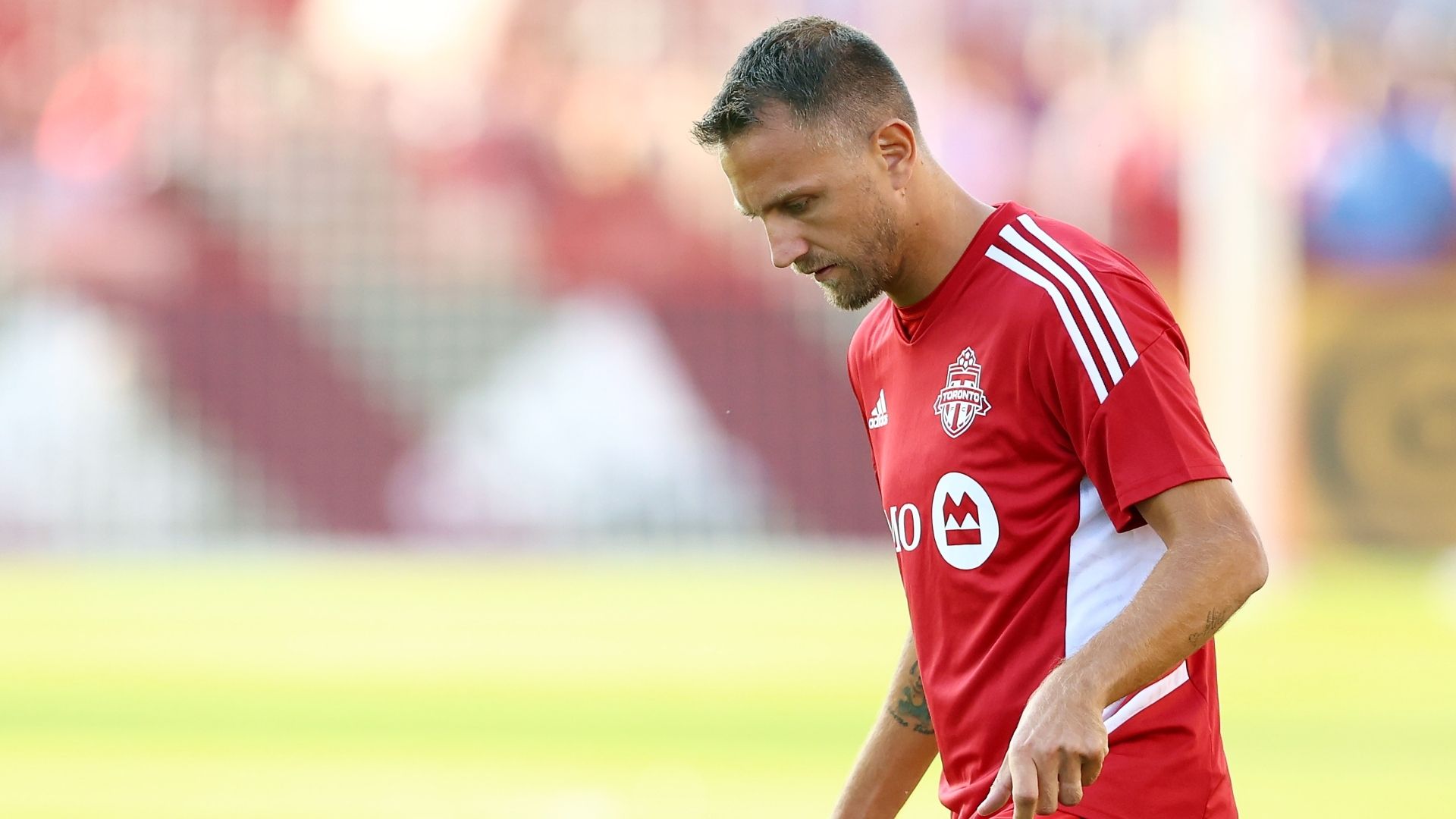 Domenico Criscito Toronto