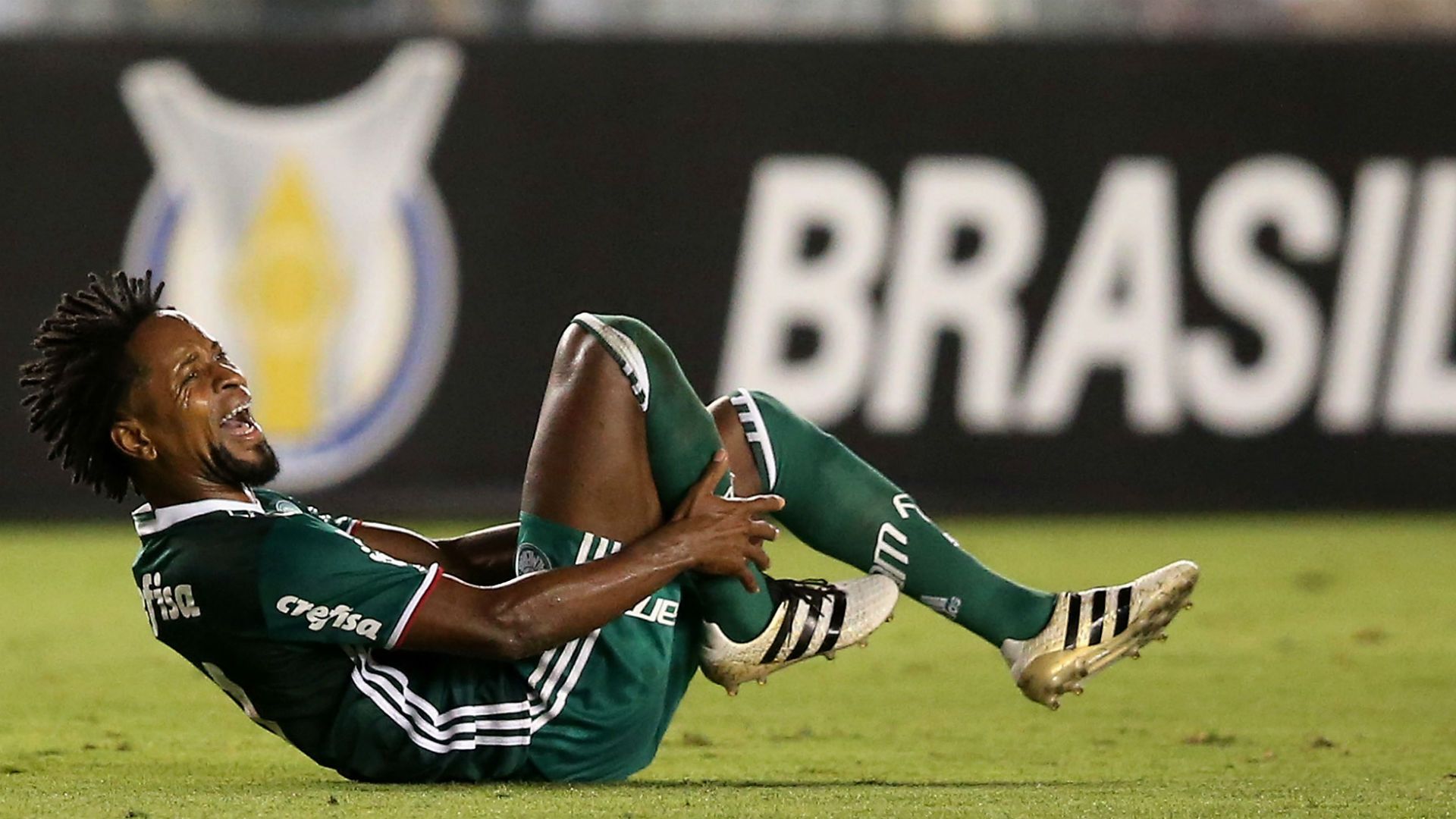 Ze Roberto Palmeiras