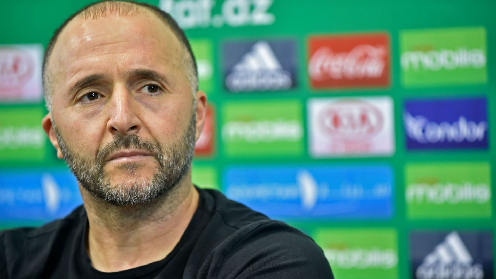 Djamel Belmadi Algeria